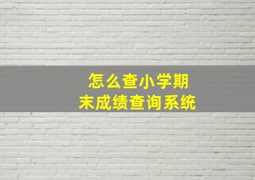 怎么查小学期末成绩查询系统