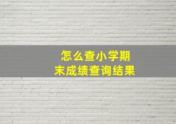 怎么查小学期末成绩查询结果