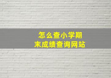 怎么查小学期末成绩查询网站