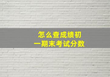 怎么查成绩初一期末考试分数