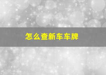 怎么查新车车牌