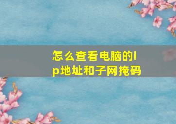 怎么查看电脑的ip地址和子网掩码