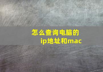 怎么查询电脑的ip地址和mac