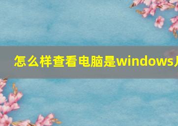 怎么样查看电脑是windows几