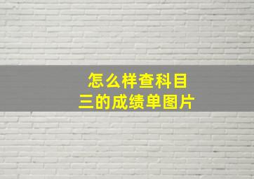 怎么样查科目三的成绩单图片