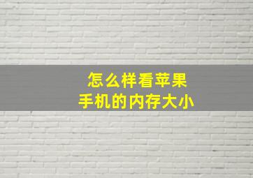 怎么样看苹果手机的内存大小