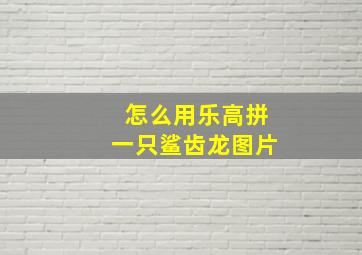 怎么用乐高拼一只鲨齿龙图片