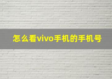 怎么看vivo手机的手机号