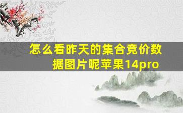 怎么看昨天的集合竞价数据图片呢苹果14pro