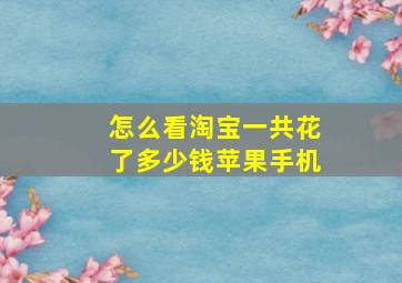 怎么看淘宝一共花了多少钱苹果手机