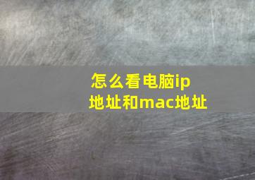 怎么看电脑ip地址和mac地址