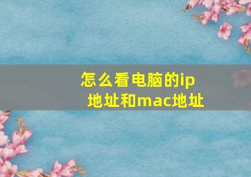 怎么看电脑的ip地址和mac地址