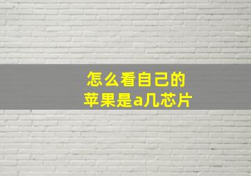 怎么看自己的苹果是a几芯片