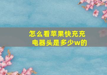 怎么看苹果快充充电器头是多少w的