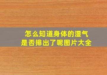 怎么知道身体的湿气是否排出了呢图片大全