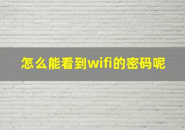 怎么能看到wifi的密码呢