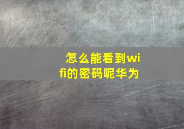 怎么能看到wifi的密码呢华为