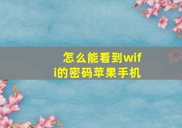 怎么能看到wifi的密码苹果手机