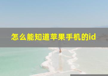 怎么能知道苹果手机的id