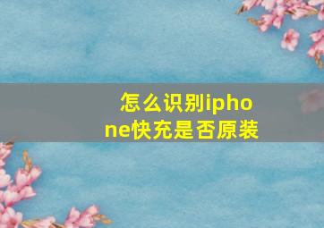 怎么识别iphone快充是否原装