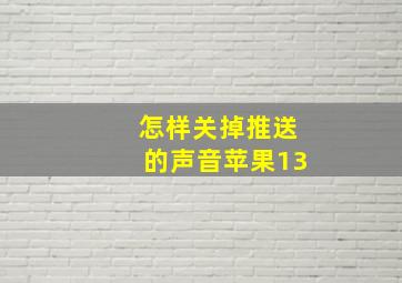 怎样关掉推送的声音苹果13