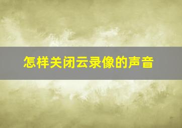 怎样关闭云录像的声音