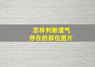 怎样判断湿气存在的部位图片