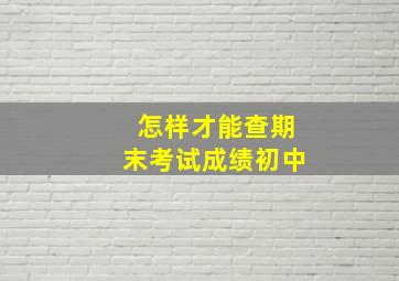 怎样才能查期末考试成绩初中