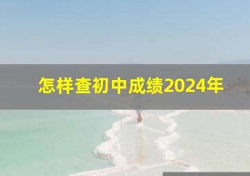 怎样查初中成绩2024年