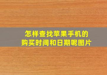 怎样查找苹果手机的购买时间和日期呢图片