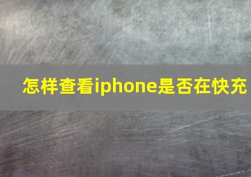 怎样查看iphone是否在快充