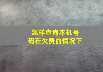 怎样查询本机号码在欠费的情况下