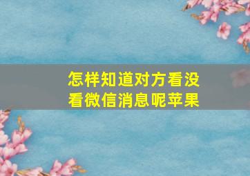 怎样知道对方看没看微信消息呢苹果