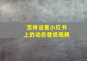 怎样设置小红书上的动态壁纸视频