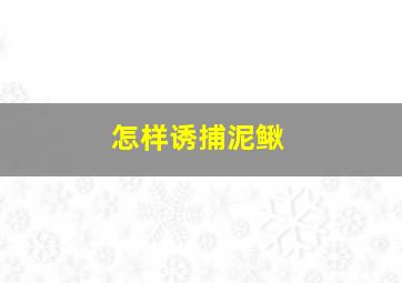 怎样诱捕泥鳅