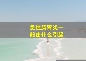 急性肠胃炎一般由什么引起