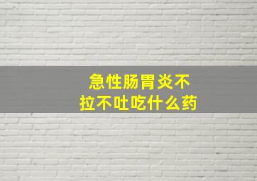 急性肠胃炎不拉不吐吃什么药