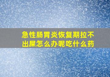 急性肠胃炎恢复期拉不出屎怎么办呢吃什么药