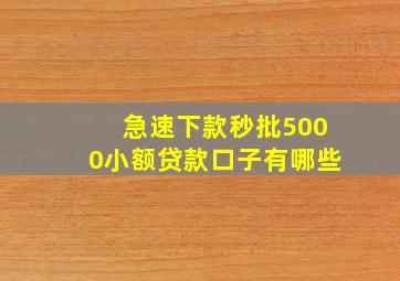 急速下款秒批5000小额贷款口子有哪些