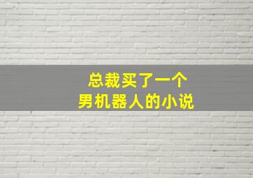 总裁买了一个男机器人的小说