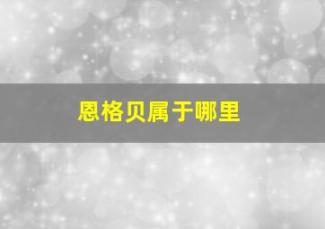 恩格贝属于哪里