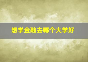 想学金融去哪个大学好