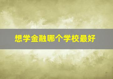 想学金融哪个学校最好