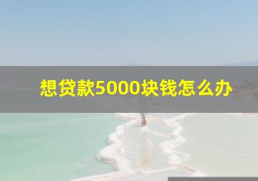 想贷款5000块钱怎么办