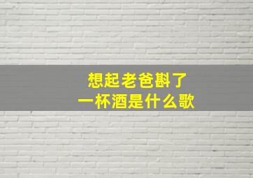 想起老爸斟了一杯酒是什么歌