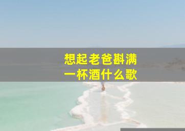 想起老爸斟满一杯酒什么歌