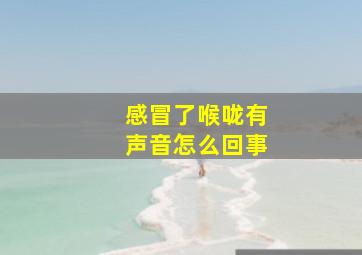 感冒了喉咙有声音怎么回事