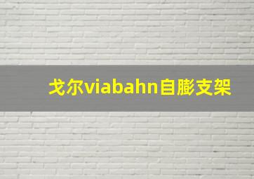 戈尔viabahn自膨支架