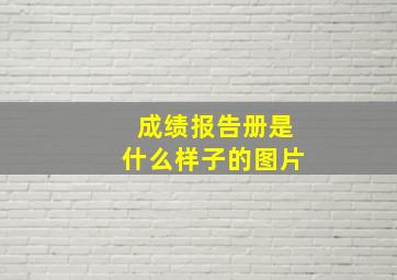 成绩报告册是什么样子的图片