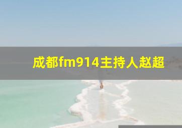 成都fm914主持人赵超